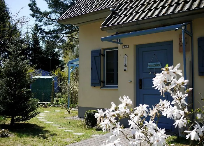 Hendrikje * Kamminke